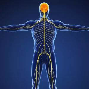 Sommeil & Récupération à la Shoyo